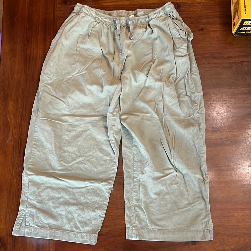 (THIS ITEM WILL BE DONATED AT END OF DEC)
Green Rebecca Malone Capris - Picture 1 of 7